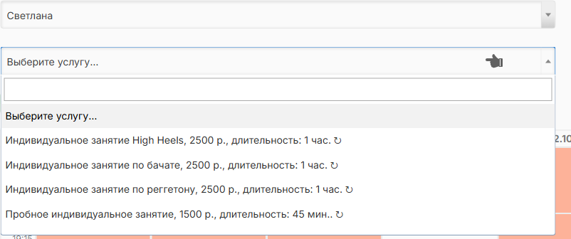 Услуги в календаре преподавателя «Светлана»