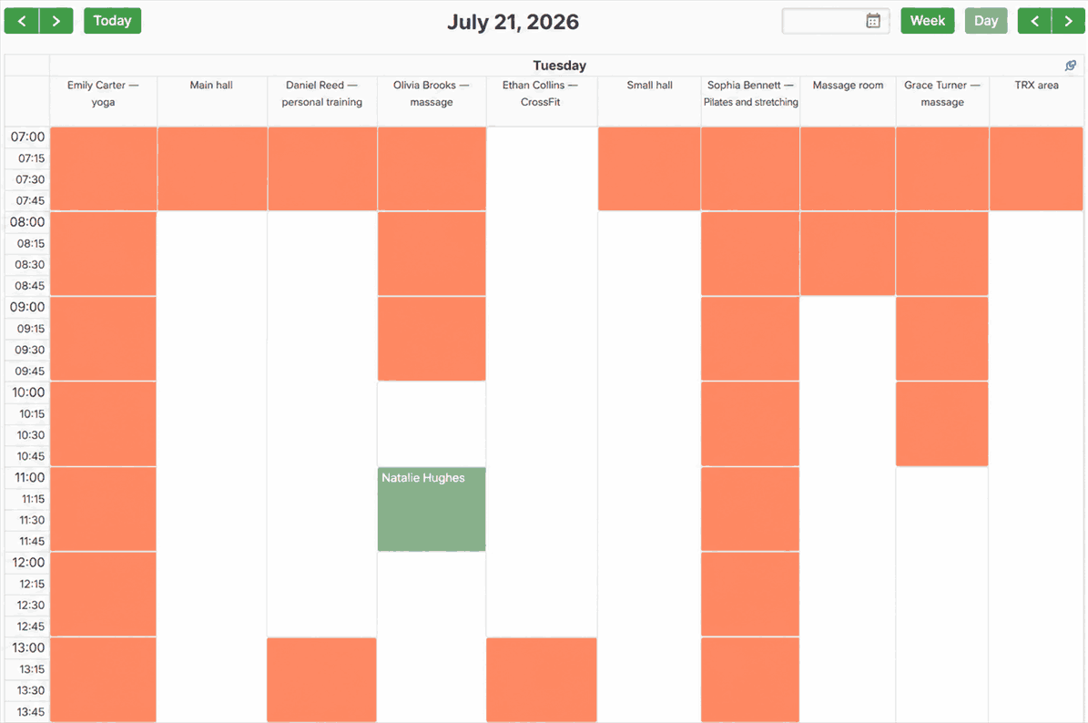 All calendars day view