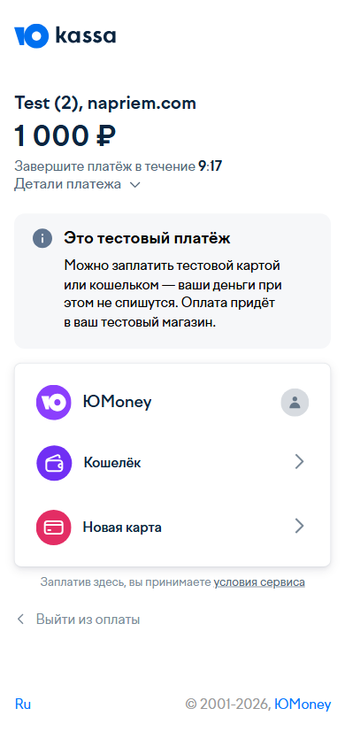 Страница оплаты на телефоне