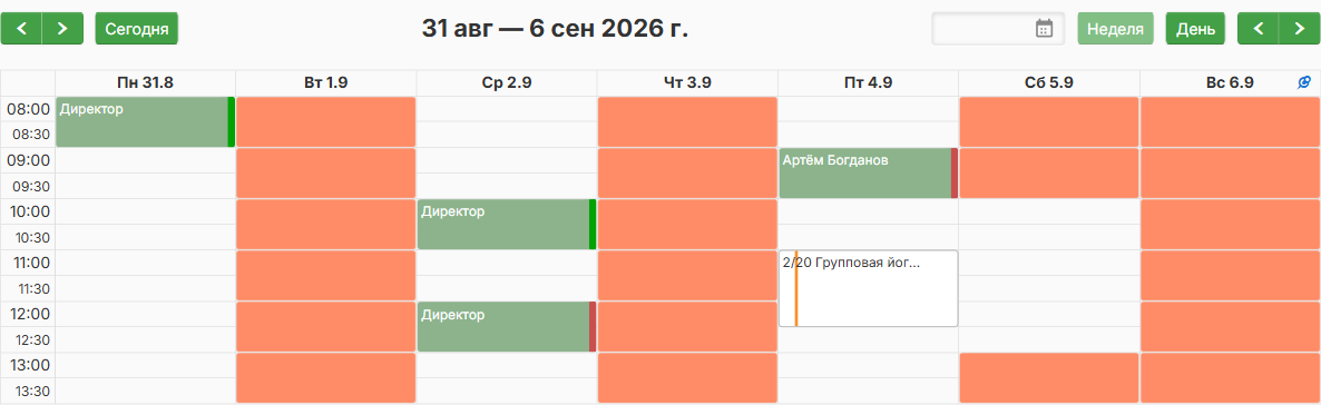 Календарь администратора: оплаченные и неоплаченные записи