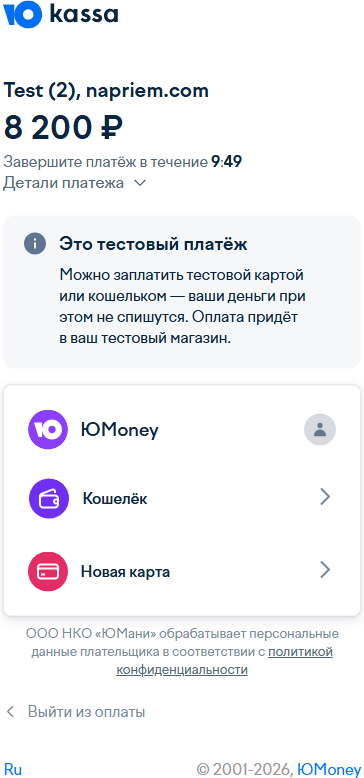 Страница оплаты на телефоне: 8 200 ₽ за «Отель» с актёром на 5 игроков (тестовый магазин демо-компании)